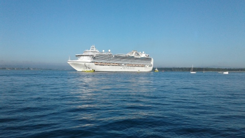 Cruise ship entering Tauranga Harbour