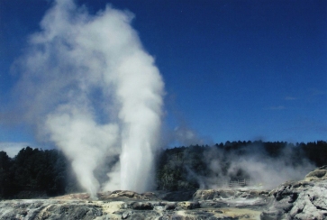 Pohutu is the largest geyser in the Southern hemisphere